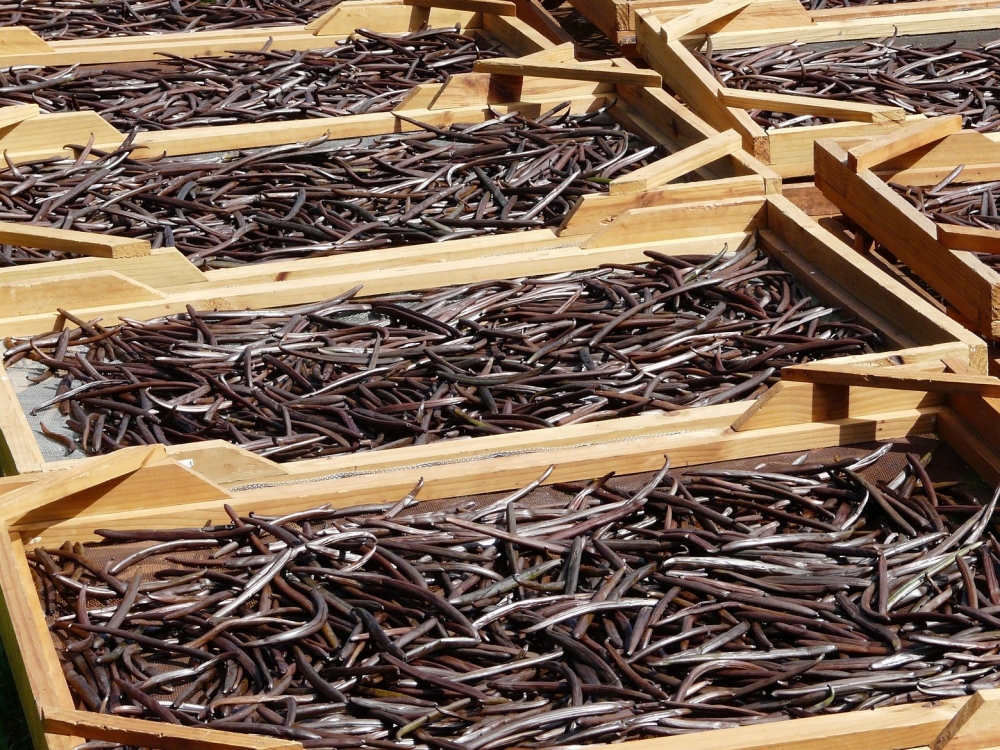 productsbigfoot-drying-114135_1920
